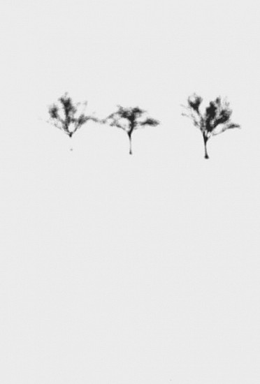 Machiel Botman, 3 Trees, Germany, 1997
Gelatin silver print, 10 3/4 x 16 in. (27.3 x 40.6 cm)
Edition of 10
1396