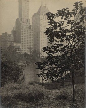 Work: Central Park and Fifth Avenue at 59th Street
