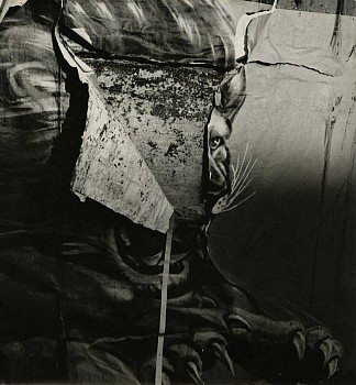 Work: Lion (circus)