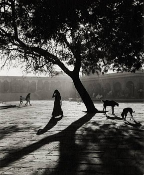 Work: Early Morning Market, Nowshera, India