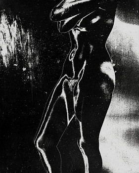 Work: Solarized Nude