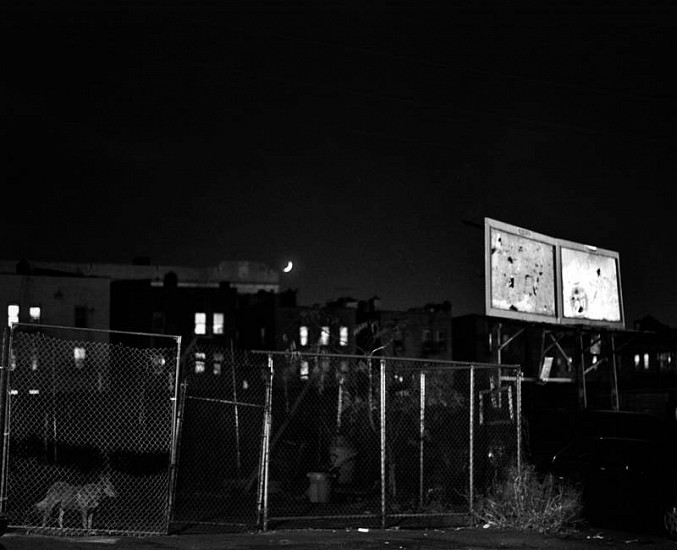 Emma Wilcox, The Fence, 2003
Gelatin silver print, 20 x 24 in. (50.8 x 61 cm)
Edition of 7
4018