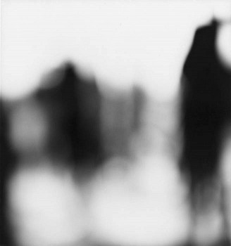 Work: Untitled (No-Focus)