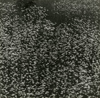 Work: I have refused to accept