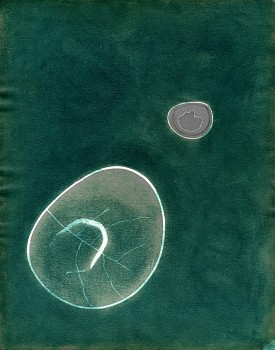 Work: Untitled, New York