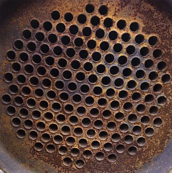 Work: Paper Nest Model