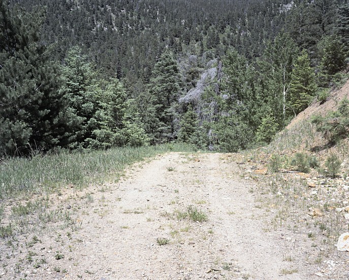 Aaron Rothman, Road, 2001
Pigment ink print, 30 x 37 1/2 in. (76.2 x 95.2 cm)
Edition of 3
2443