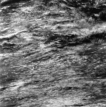 Ken Collins -&nbsp;River Meditation # 1604