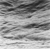 Ken Collins, River Meditation # 0514
2005, Gelatin silver print