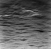 Ken Collins, River Meditation # 0305
2005, Gelatin silver print