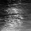 Ken Collins, River Meditation # 0319
2005, Gelatin silver print