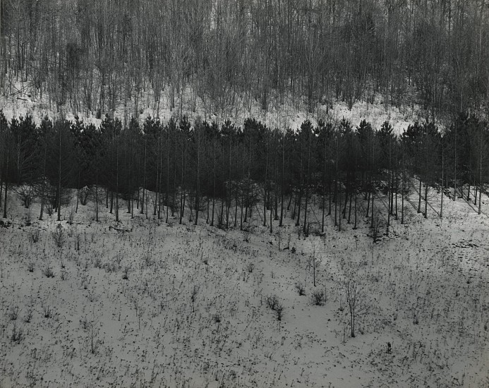 Nathan Lyons, Untitled (trees), 1958
Vintage gelatin silver print, 7 3/4 x 9 3/4 in. (19.7 x 24.8 cm)
4025
Sold
