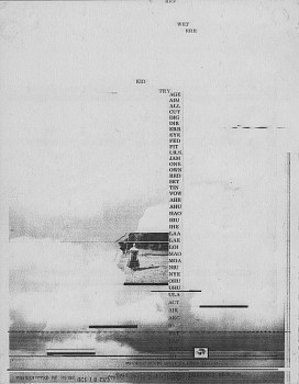 Work: Untitled, Fireflies series