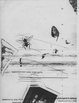 Work: Untitled, Fireflies series