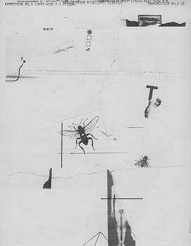 Work: Untitled, Fireflies series