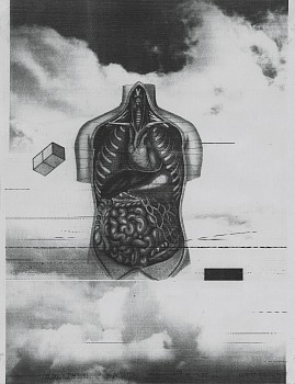 Work: Untitled, Fireflies series