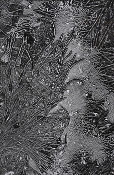 Work: Apocalypse, Révélation