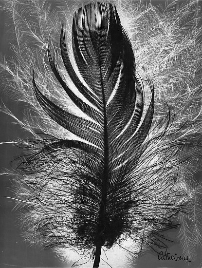 Roger Catherineau, Plume, c. 1954
Vintage gelatin silver print, 15 3/4 x 11 15/16 in. (40 x 30.3 cm)
2828
Sold