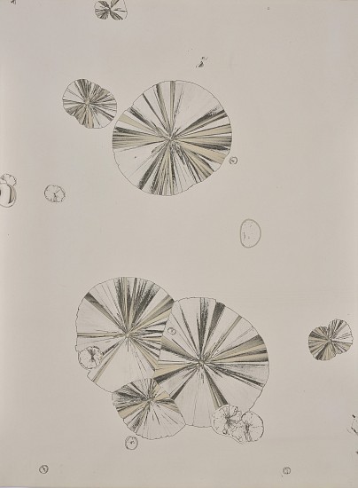 Jean-Pierre Sudre, Matériographie, c. 1965-1970
Vintage toned gelatin silver print; Mordançage, 15 5/8 x 11 3/4 in. (39.7 x 29.9 cm)
6674
$9,000