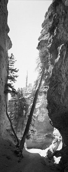 Lois Conner, Bryce Canyon, Utah, 1989
Platinum print, 16 1/2 x 6 1/2 in. (41.9 x 16.5 cm)
Edition of 10
5857