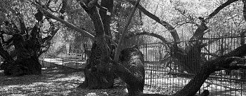Work: Zanggyab Lhukang Park, Lhasa, Tibet