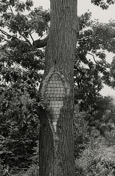 Work: New York City