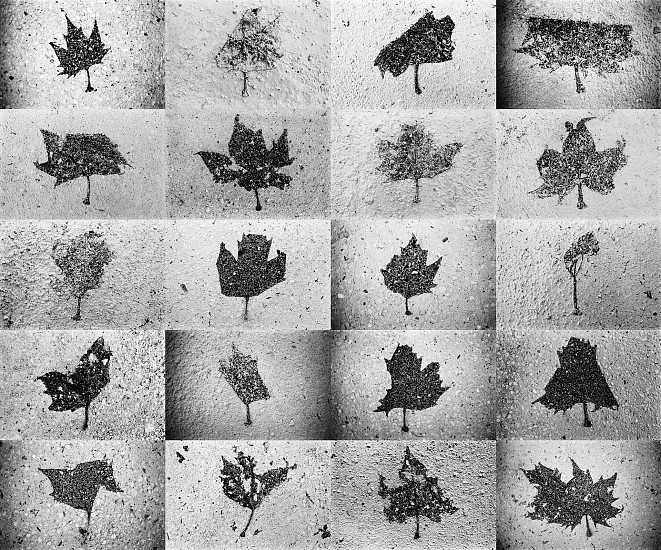 Machiel Botman, Leaves, 2008
Gelatin silver print collage, 23 1/10 x 26 15/16 in. (58.7 x 68.4 cm)
Edition of 10
4757