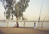 Adam Bartos, Luxor, Egypt (Nile riverbank)
1980, Pigment print