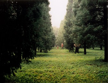 Work: Beijing park, (woman kneeling)