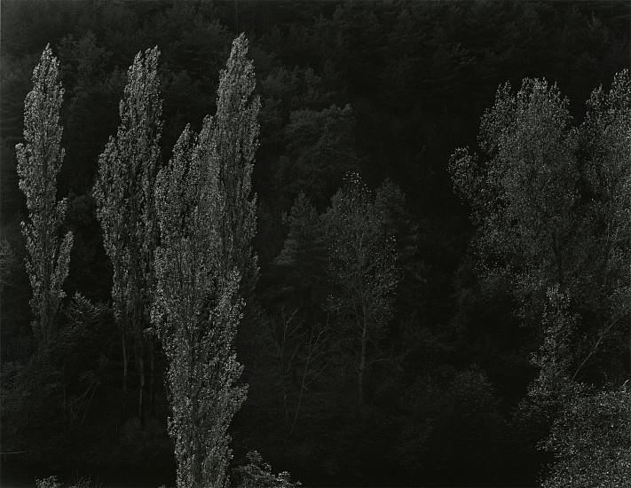 Kenneth Josephson, France, 2001
Vintage gelatin silver print, 13 3/4 x 17 7/8 in. (35.1 x 45.4 cm)
Edition of 25
5119
Price Upon Request