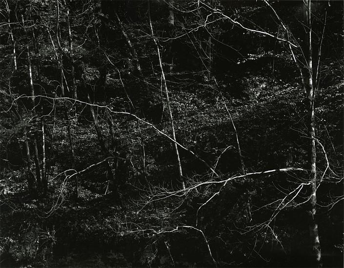Kenneth Josephson, France, 1995
Vintage gelatin silver print, 13 3/4 x 17 3/4 in. (35.1 x 45.2 cm)
Edition of 50
5118
Price Upon Request