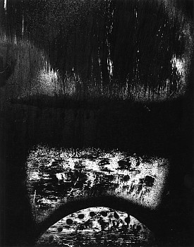 Work: Untitled, Freemont Peak State Park, California