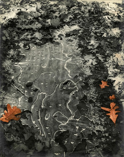 Josef Breitenbach, Abstraction (Thin Ice In The Woods), 1946
Vintage toned gelatin silver print, 13 3/4 x 10 7/8 in. (34.9 x 27.6 cm)
5386
$12,000