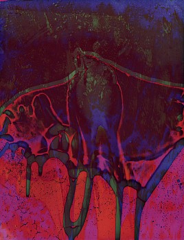 Henry Holmes Smith - Phoenix