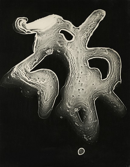 Herbert Matter, Untitled, c. 1939-43
Vintage gelatin silver print, 10 1/2 x 13 7/16 in. (26.7 x 34.1 cm)
Most likely cliché verre photogram process.Studio Associates Stamp in ink on print verso.
6790
$5,000