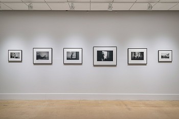 Work: selected works from Florence