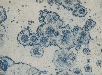 Artist: Jean-Pierre Sudre