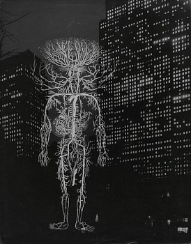 Josef Breitenbach -&nbsp;We New Yorkers