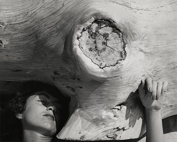 Herbert Matter - Mercedes, Provincetown