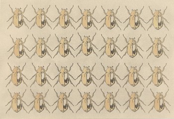 Jean-Pierre Sudre - Untitled