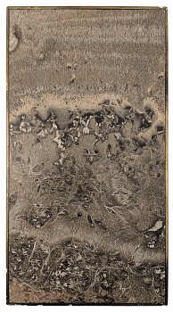 Jean-Pierre Sudre - Brunosphère