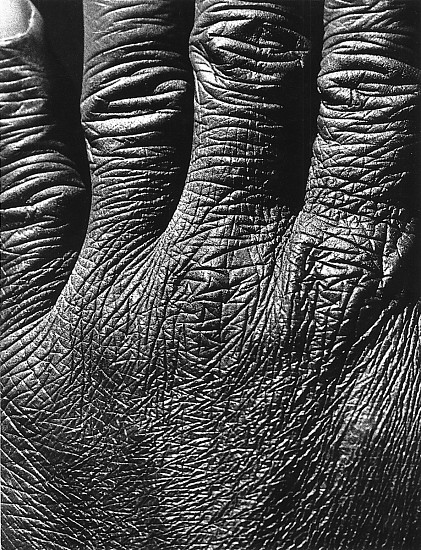 Roger Catherineau, Main (Hand), 1954
Vintage gelatin silver print, 9 3/8 x 7 1/8 in. (23.8 x 18.1 cm)
2834
$5,000