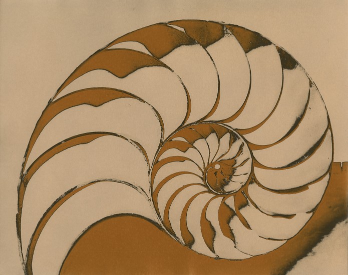 Jean-Pierre Sudre, Untitled, c. 1968
Vintage toned gelatin silver print; MordanÃ§age, 9 3/8 x 11 3/4 in. (23.8 x 29.8 cm)
Nautilus shell
7892
$7,000