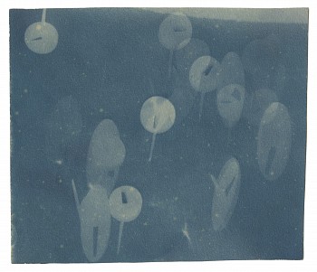 Work: Untitled (thumb tacks)