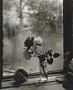 Josef Sudek, The Last Rose of Summer, from The Window of My Studio
1956, Gelatin silver print; printed c. 1960s-73