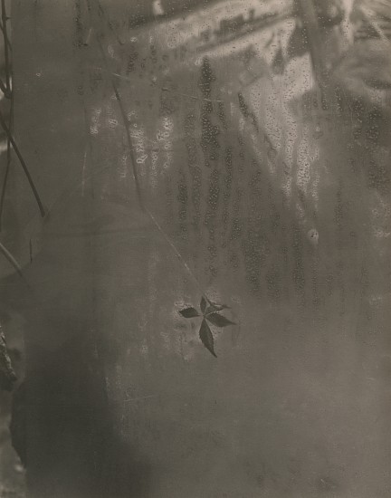 Josef Sudek, The Window of My Studio, c. 1960s
Vintage gelatin silver print, 5 5/8 x 4 7/16 in. (14.3 x 11.3 cm)
8432
$7,500