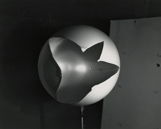 Harold Edgerton, Punctured Sphere [balloon], 1960
Vintage gelatin silver print, 7 1/2 x 9 7/8 in. (19.1 x 25.1 cm)
Photographer's MIT stamp with date "AUG 1 1960" and "11.564 in pencil with Estate authentication stamp with date and number on print verso.
8495
$5,500