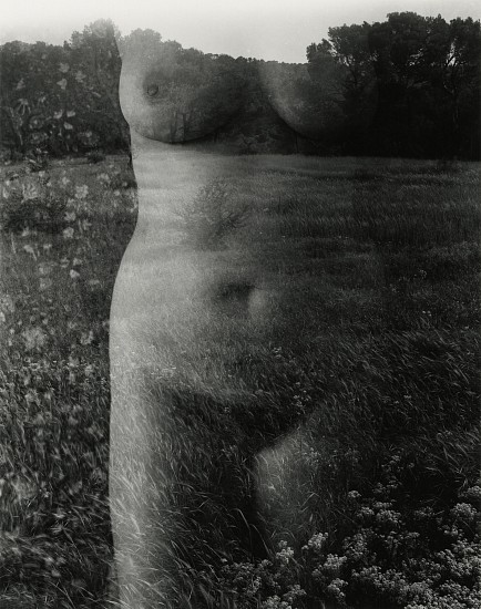 Harry Callahan, Eleanor, Aix-en-Provence, 1958
Early gelatin silver print, printed c. 1960s, 6 7/16 x 5 1/8 in. (16.4 x 13 cm)
Signed in pencil on print recto; Signed, titled and dated "H. Callahan Aix 1958" with notations "S-122a" and "S-1221.3" in pencil on print verso.
8535
$16,000