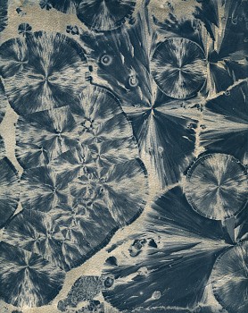 Work: Brazilin (Brazilwood II)