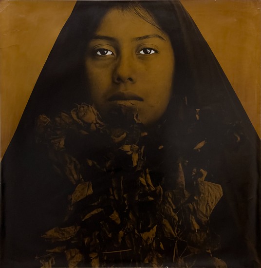 Luis González Palma, La Esperanza [Hope], c. 1990
Vintage gelatin silver print with bitumen, 36 x 36 in. (91.4 x 91.4 cm)
8610
$9,000